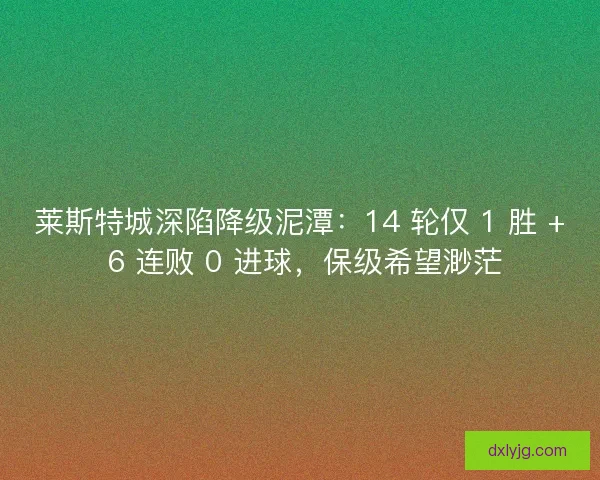 莱斯特城深陷降级泥潭：14 轮仅 1 胜 + 6 连败 0 进球，保级希望渺茫